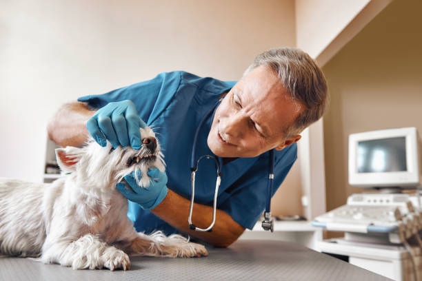Best Emergency Dental Surgery in Buenaventura Lakes, FL